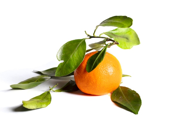 Mandarin with leaves on a white background Beautiful fruit