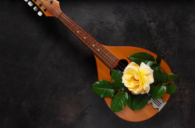 Фото Мандолина струнный щипковый музыкальный инструмент и красивый желтый цветок чайной розы