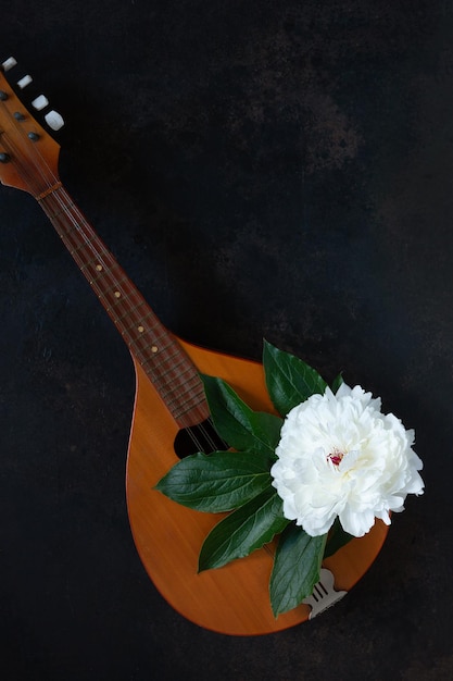 Мандолина струнный щипковый музыкальный инструмент и красивый белый цветок пиона