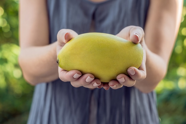 Mango in beautiful female hands