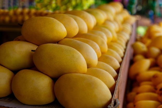 Mango festival stand with fresh yellow mango fruits in the street market selective focus