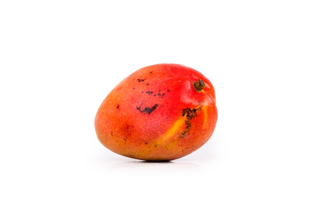mango fruit geïsoleerd in het wit