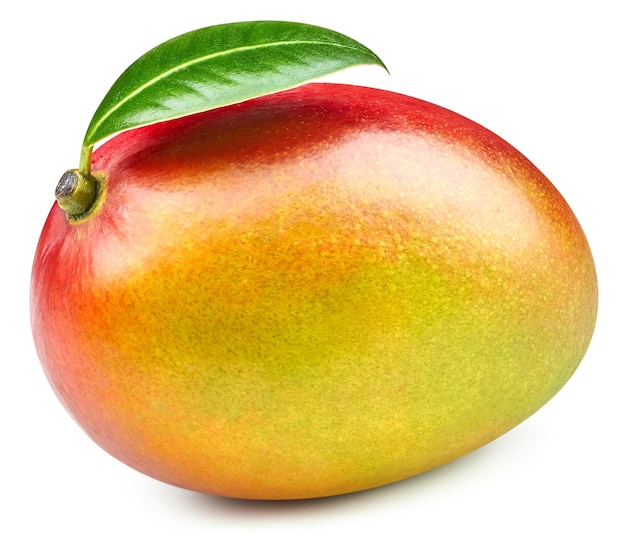 Mango fruit geïsoleerd