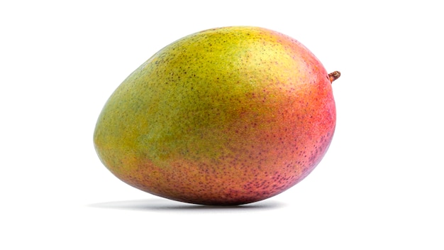 Mango fruit geïsoleerd