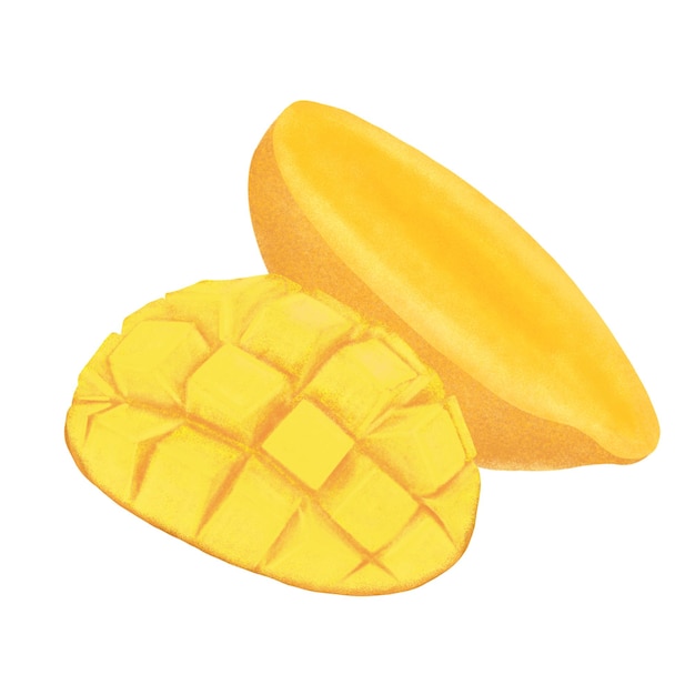 Mango fruit illustratie