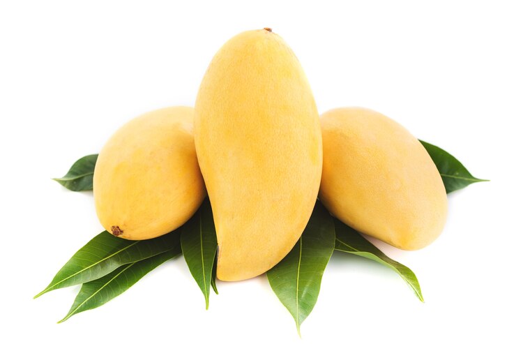 Photo mango fruit isolated on white background .