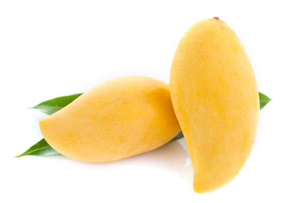 Mango fruit isolated on white background .