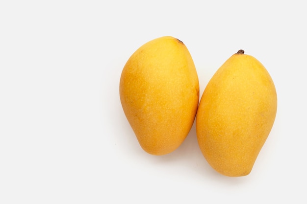 Mango fruit on white background.