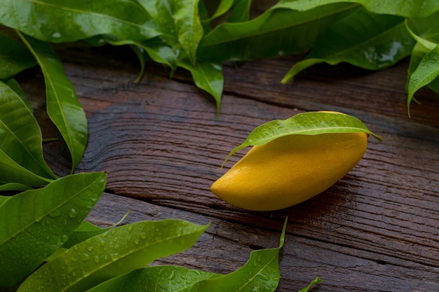 Mango fruit with green leaves on wooden table