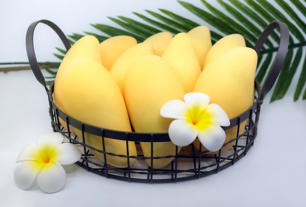 Mango fruits in a steel basket.