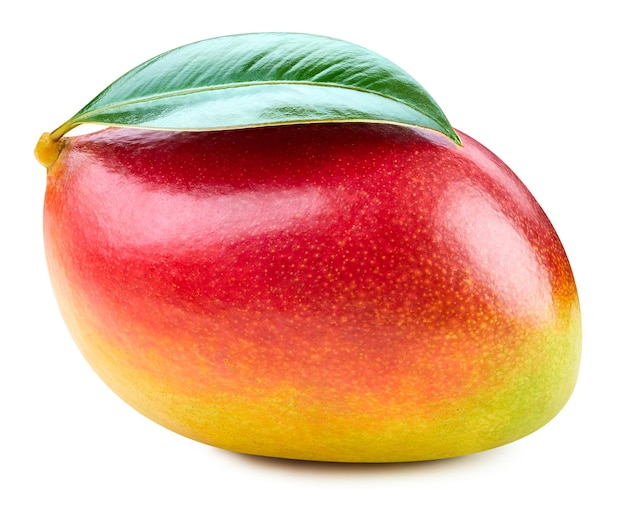 Mango geïsoleerd op witte achtergrond Rijpe mango uitknippad Mango met blad