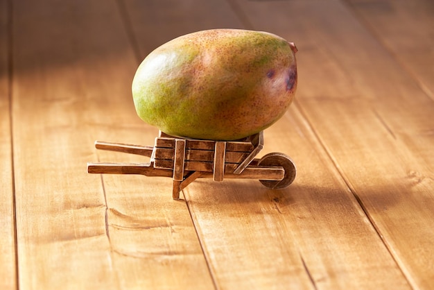 Mango in een houten antieke kruiwagen.