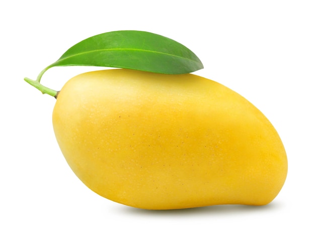 Изолированное манго Одно спелое желтое манго с зеленым листом