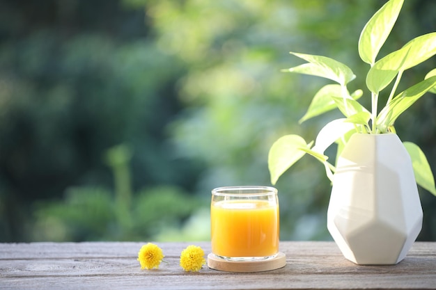 Стеклянная чашка сока манго и горшок для растений