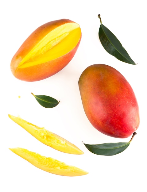 Лист манго, изолированные на белом фоне обтравочный контур