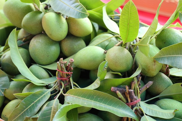 mango at street food