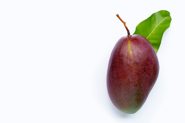 Mango, Tropical fruit with leaves on white background. Top view