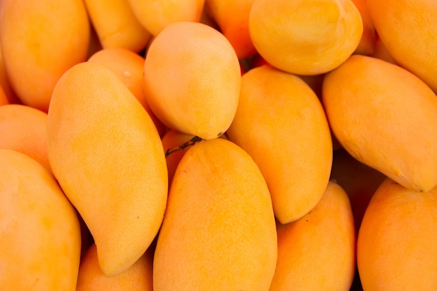 Photo mango, tropical fruits, selling at morning market