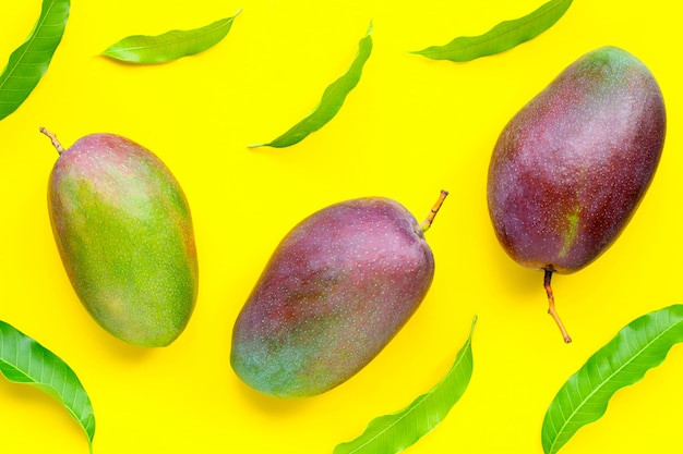 Mango, tropisch fruit met bladeren op gele achtergrond.