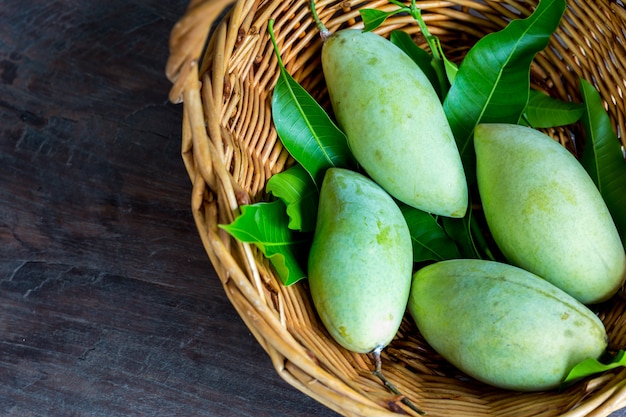 Mangoes on the basket