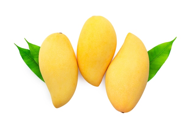 Mangoes with leaf isolated on white