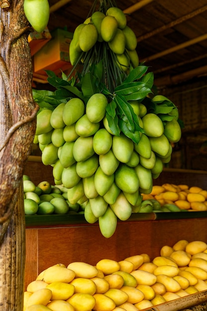 Mangofestivalkraam met verse gele mangovruchten op de straatmarkt