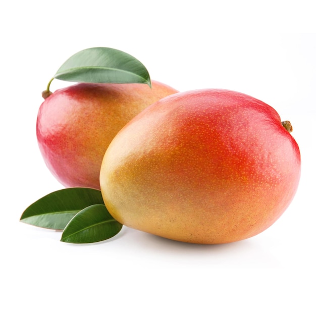Mangofruit op witte achtergrond wordt geïsoleerd die