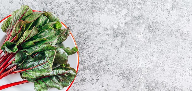 Mangold salad fresh raw leaves of chard on a stone background