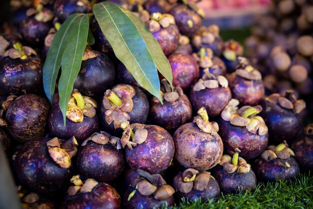 Mangostan en groene bladeren bij marktwinkel Thailand