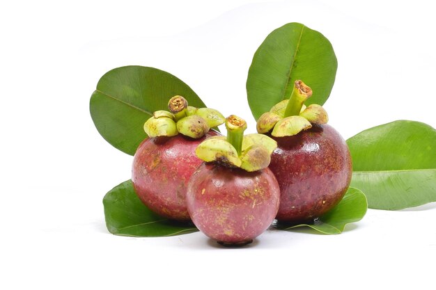 Mangosteen geïsoleerd op witte achtergrond