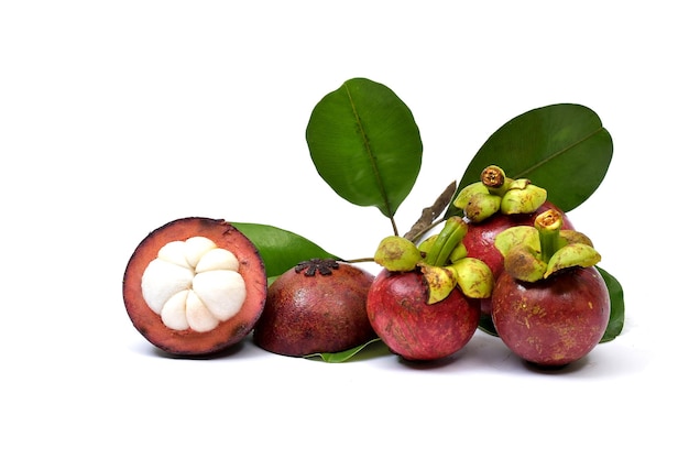 Mangosteen isolated on white background