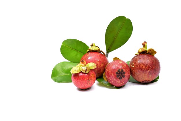 Mangosteen isolated on white background