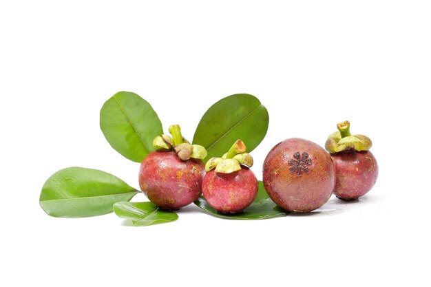 Mangosteen isolated on white background