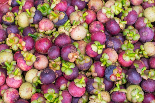 Mangosteen waiting for transportation is in the basket