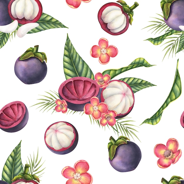 Mangosteen waterverf naadloos patroon Met de hand getekende achtergrond met exotische tropische vruchten met bloemen en palmbladeren voor verpakkingspapier of textielontwerp tekening van Thais voedsel voor productetiket