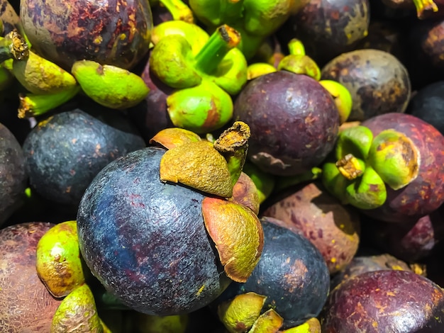 mangosteen