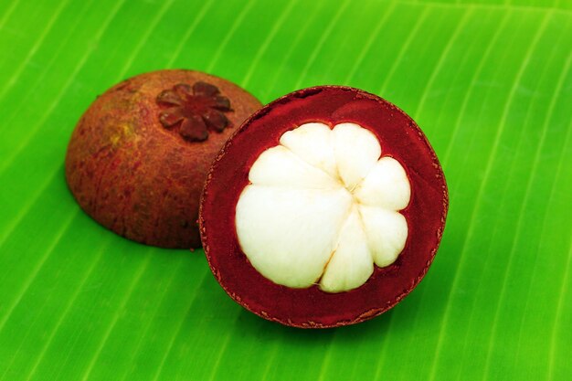 Mangosteen