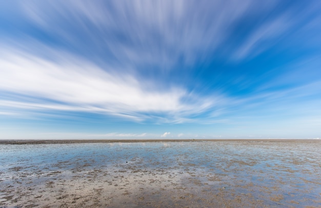 Mangrove en modder moeras Door de zee lucht vervagen