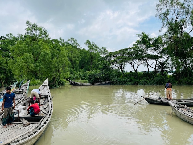 Foto mangrovebos met een prachtig strand