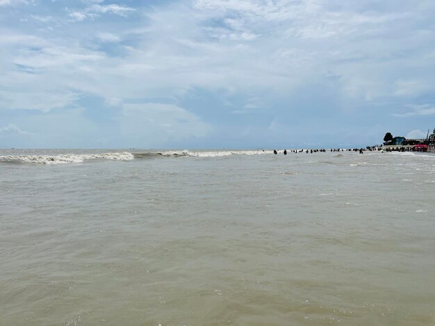 Foto mangrovebos met een prachtig strand