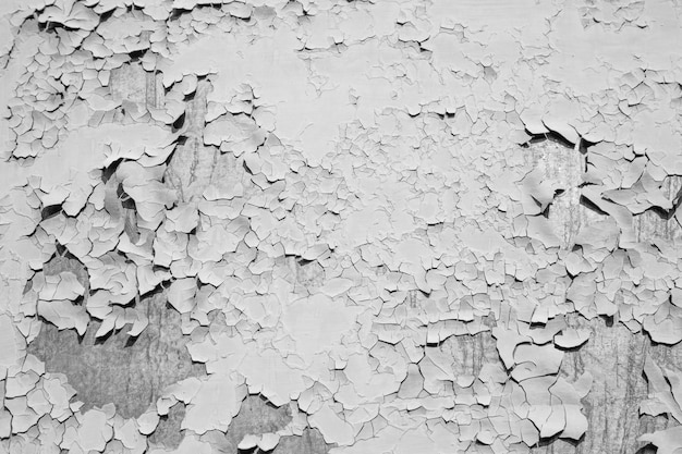 Mangy old paint background Old contrast black and white texture template for overlay artwork