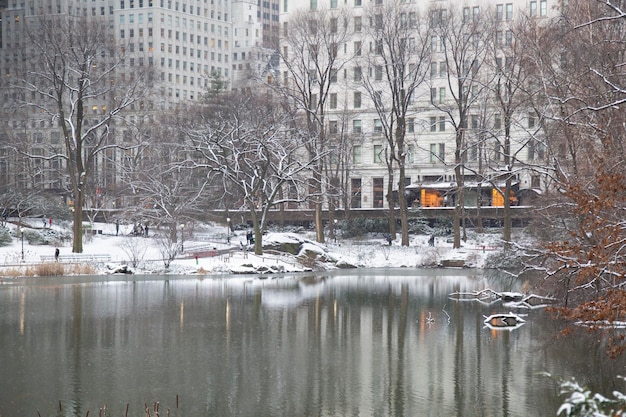 Манхэттен, штат Нью-Йорк, США, 31 января 2017 года. Много снега в Центральном парке.