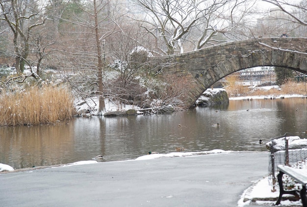 Manhattan NY USA January 31st 2017 Snowing a lot in Central Park