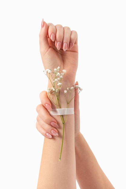 Manicure female hands with gypsophila flowers gel polish beige pink long nails on a white background