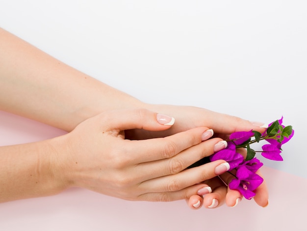 Manicured woman hands holding colorful flowers