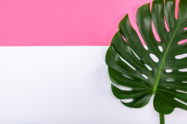 Manierachtergrond met monstera-blad en copyspace