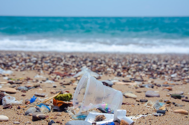 海の人工ゴミ ペットボトル メガネなどのプラスチック