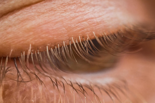 Mannelijk oog close-up wimpers in macro bovenste en onderste ooglid