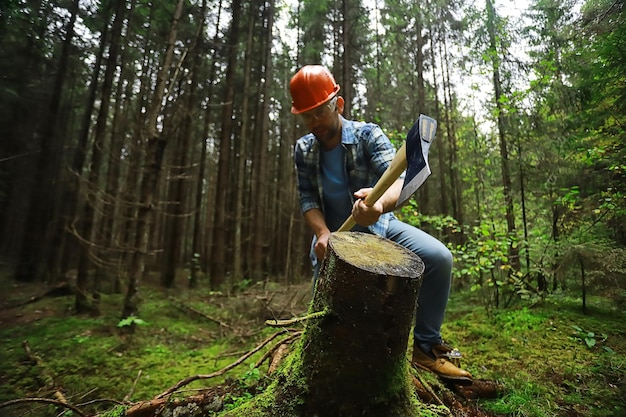 Foto mannelijke arbeider met een bijl die een boom in het bos hakt.