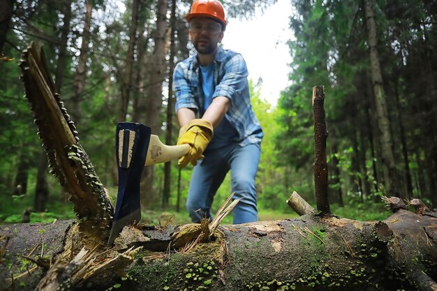 Mannelijke arbeider met een bijl die een boom in het bos hakt.